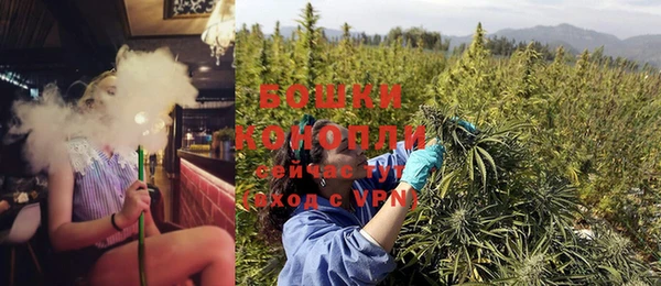 ГАЛЛЮЦИНОГЕННЫЕ ГРИБЫ Белоозёрский