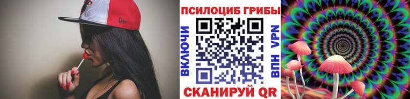 Галлюциногенные грибы MAGIC MUSHROOMS  Купить закладки  Северобайкальск 